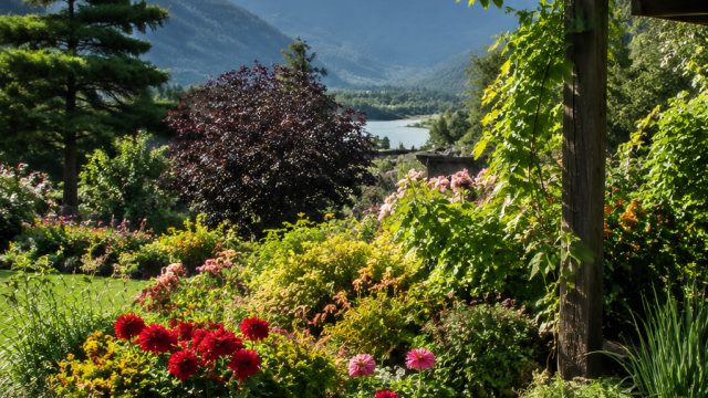 Explore the Beauty of Chilliwack: 2026 Rotary Garden Tour Highlights