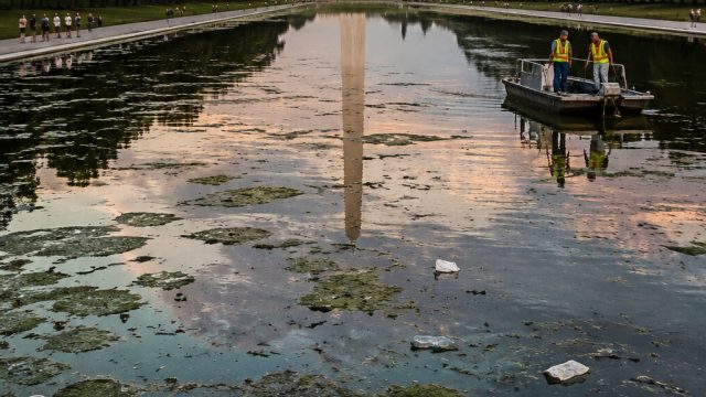 Controversy Surges Over Issues at Trump's Reflecting Pool