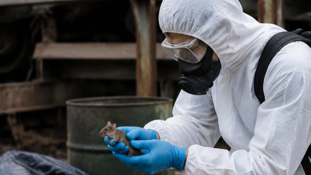 End of Hantavirus Quarantine: Insights from the Recent Incident