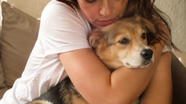 Disha Patani Reflects on Loss: A Heartfelt Tribute to Her Beloved Pet | apa itu happy birthday, al u