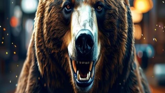 The Anticipated Return of The Bear: What to Expect in Season 5